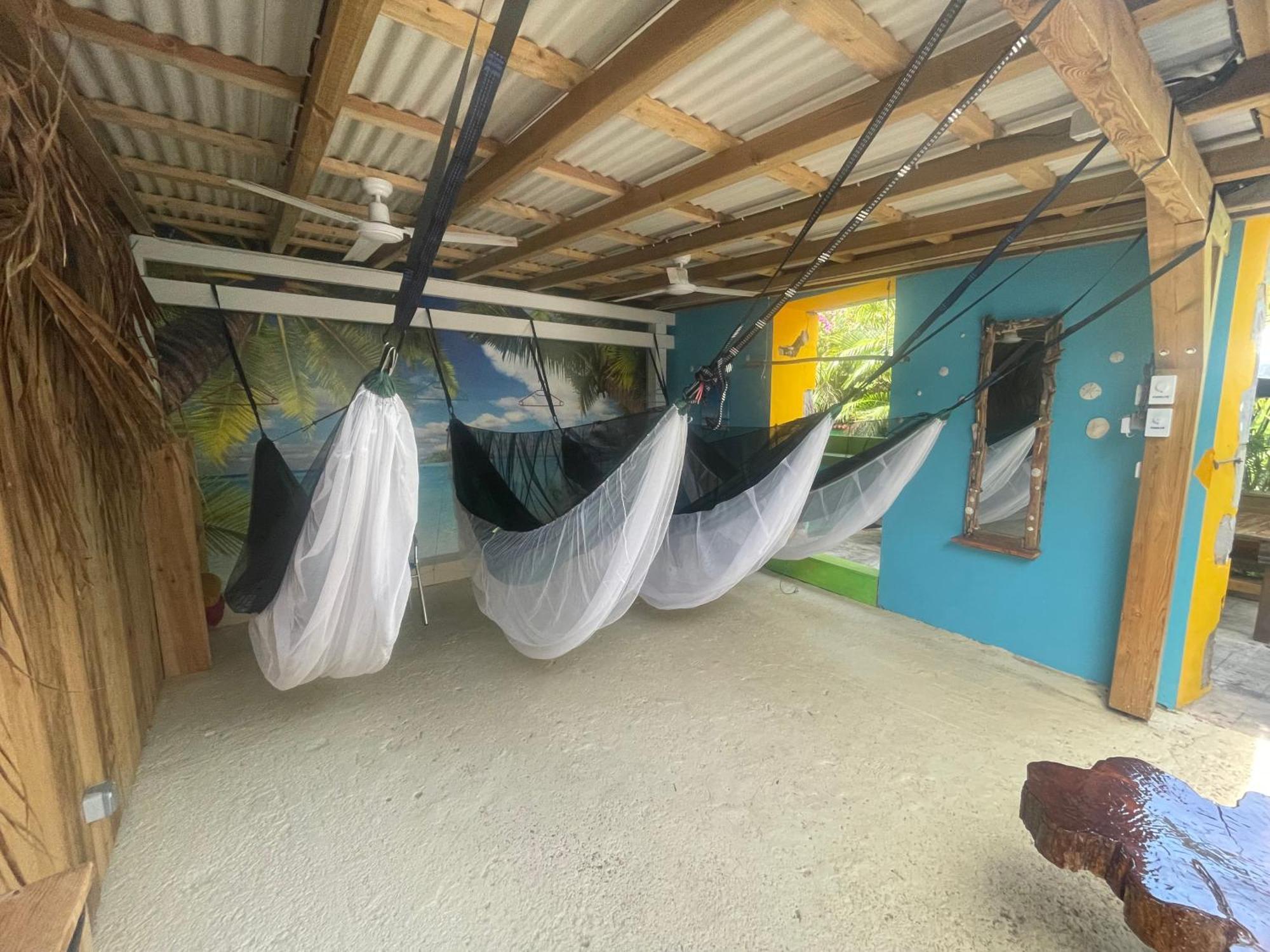 Les Hamacs Aux Saintes Bis Terre-De-Haut Exterior foto